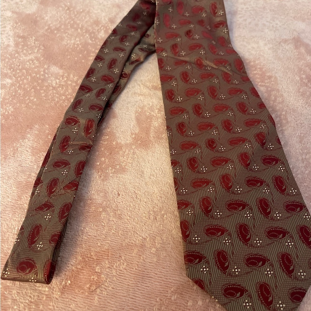 Elegant Paisley Men's Tie in Red and Gray - Picture 4 of 8